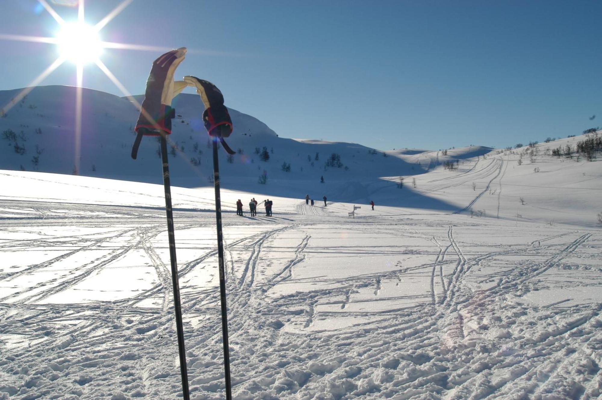 Rauland Hogfjellshotell Buitenkant foto